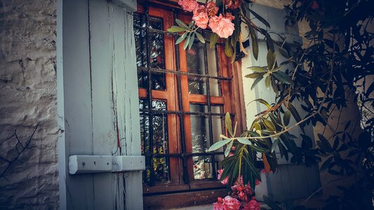 House garden