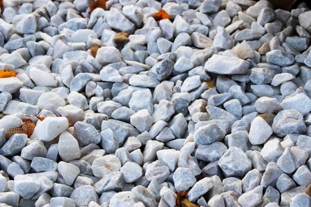 Stones silica seashell