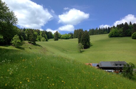 Mountains münster thal hut