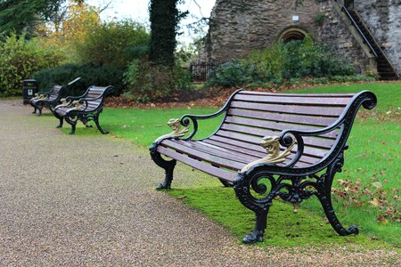 Park bench grass green photo