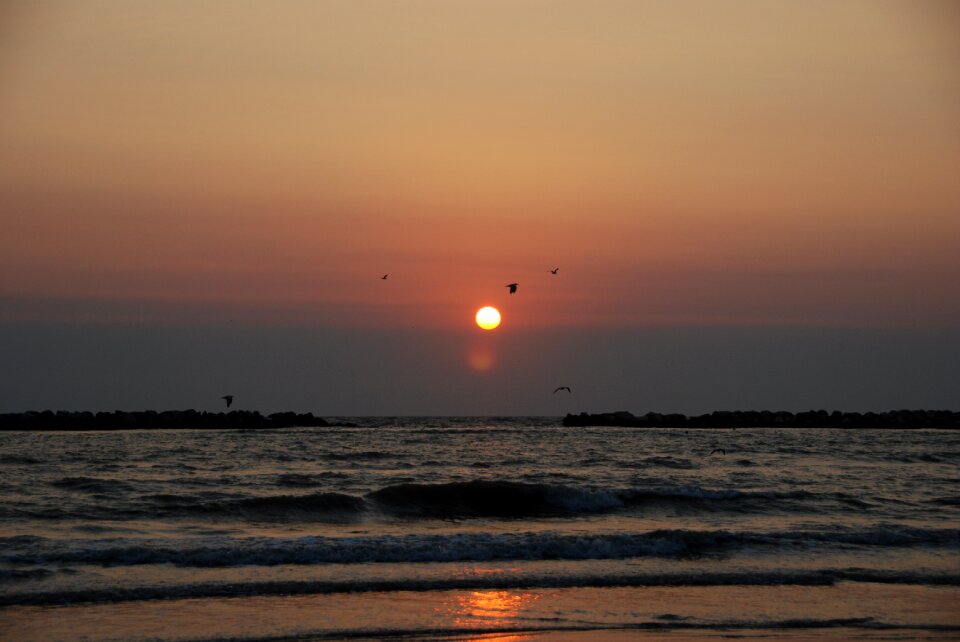 Horizon summer sun