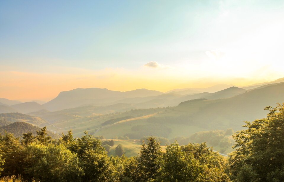 Morning scenic trees photo