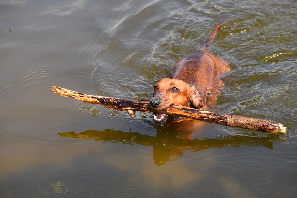 Water fun love