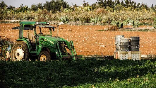 Potatoes agriculture rural photo