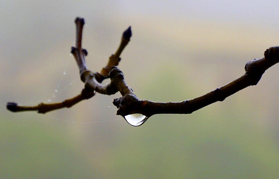 Moisture raining wet