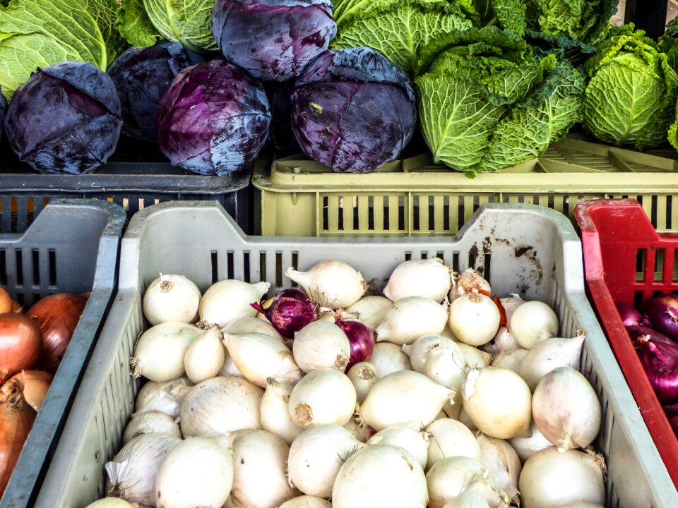 Vegetables plant food