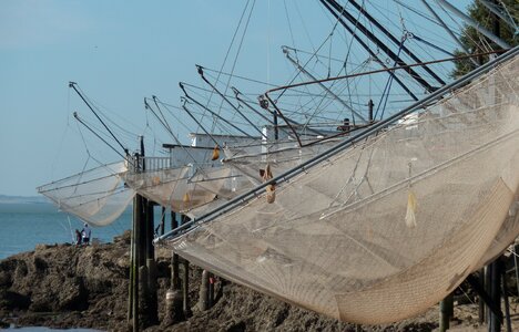 Plaice netting gironde photo