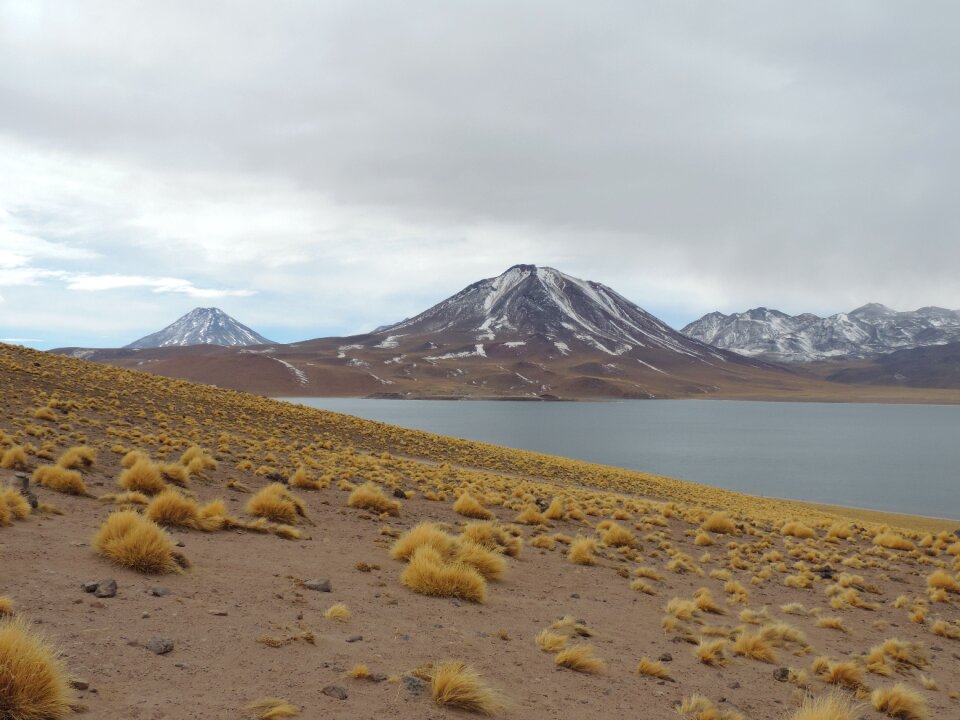 Nature desert atacama