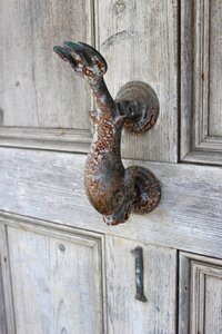 Dolphin fish wood