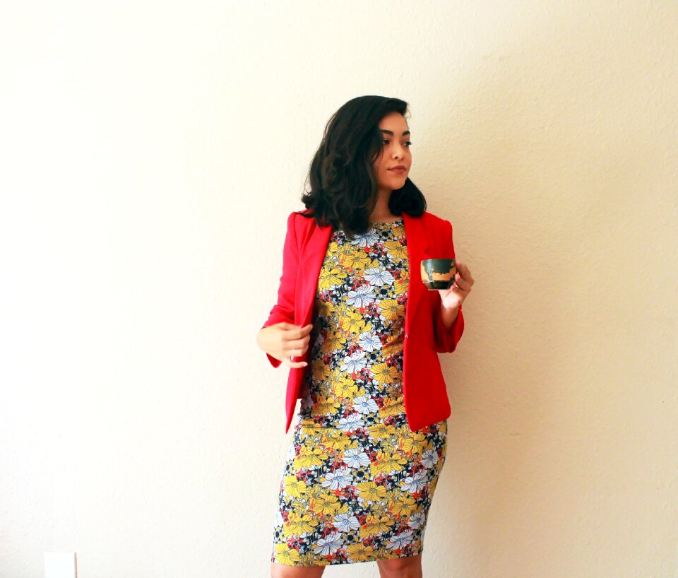 Professional career dressy