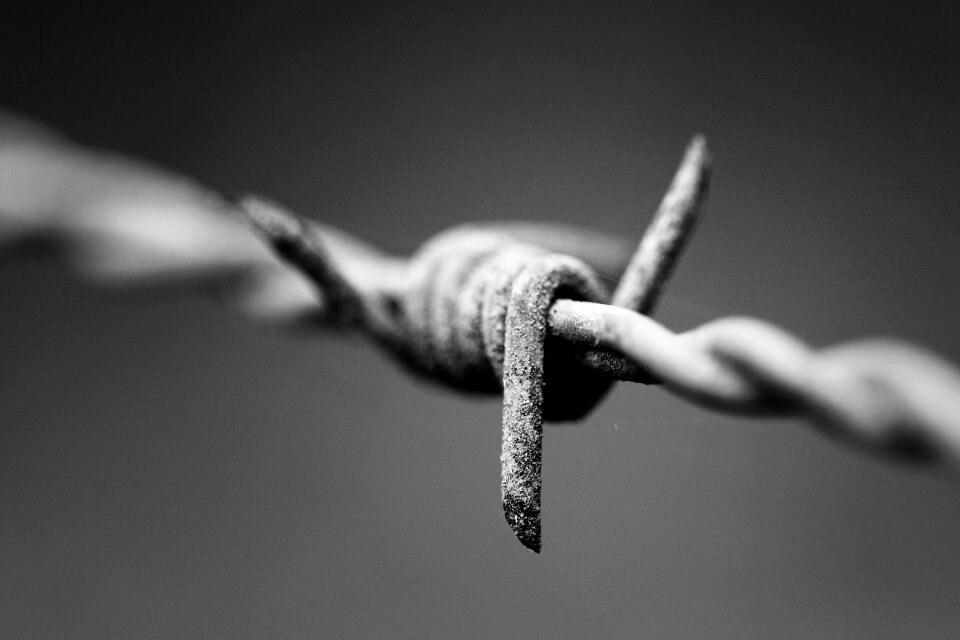 Barbed defence black and white