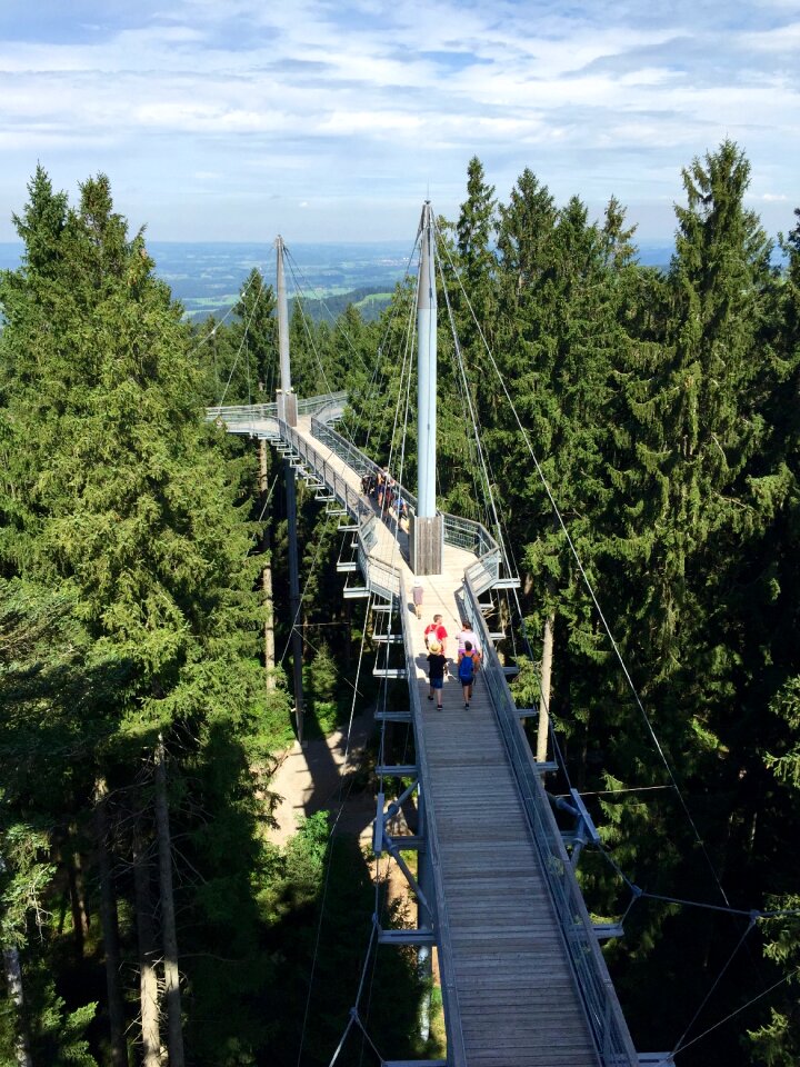 Treetop path scheidegg germany