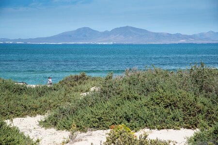 Fuerteventura landscape ocean