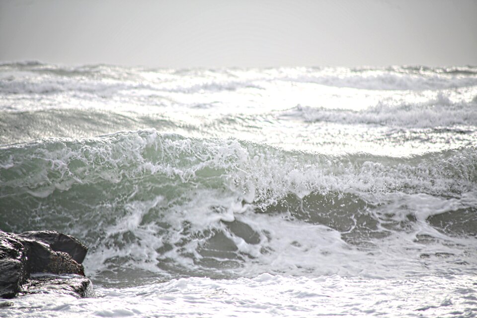 Scum nature water - Free photos on creazilla.com