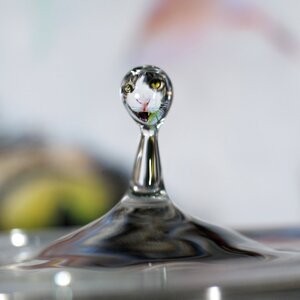 Macro water reflection