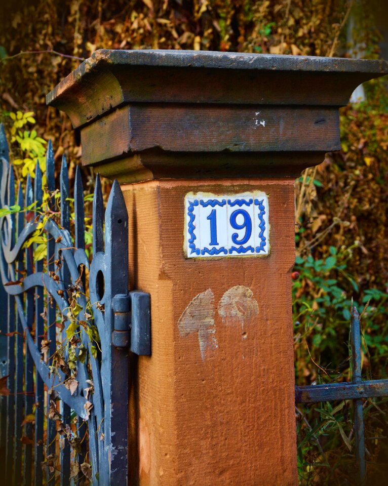 Metal garden fence photo