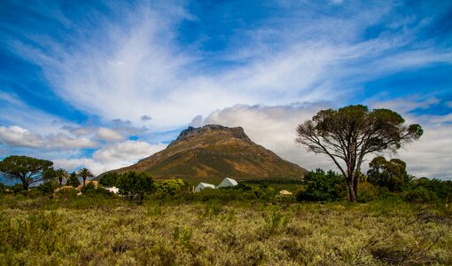 Africa scenery blue