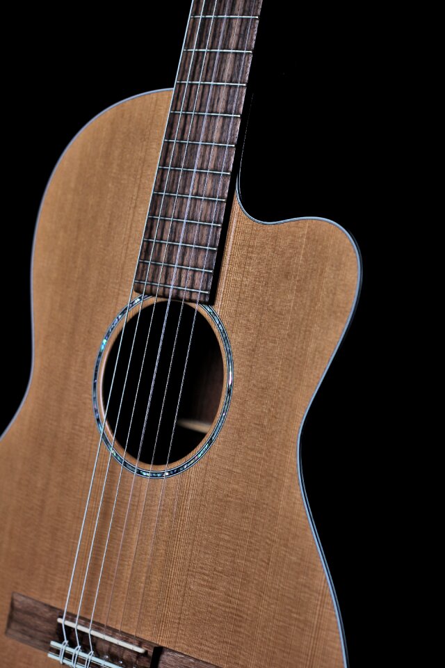 Acoustic instrument musical