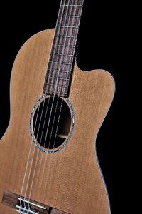 Acoustic instrument musical photo