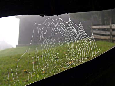 Barn nature alm