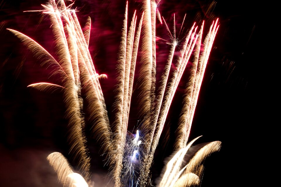 Pyrotechnics sylvester rocket