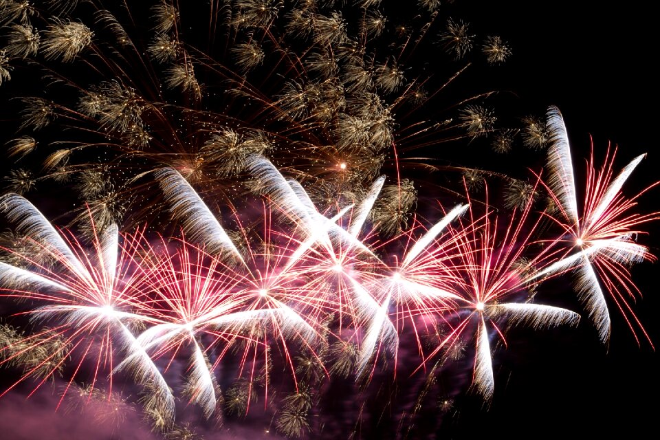 Pyrotechnics sylvester rocket