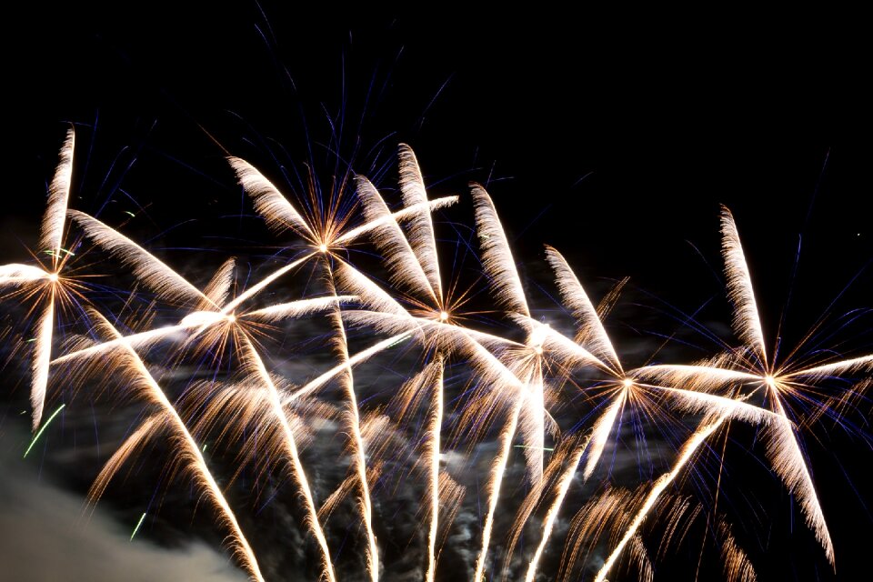 Pyrotechnics sylvester rocket