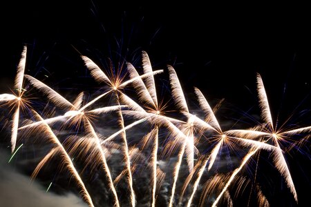 Pyrotechnics sylvester rocket