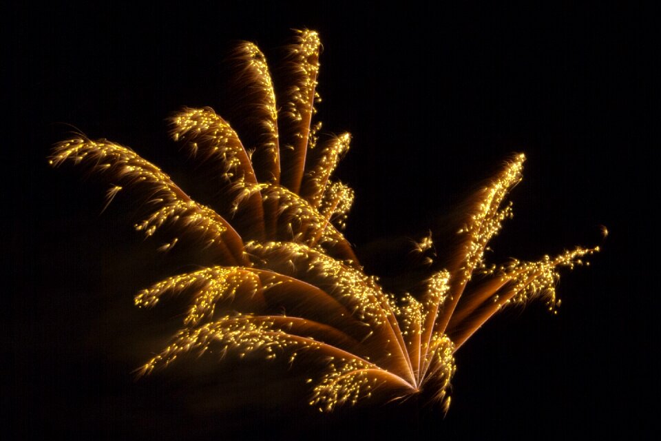 Pyrotechnics sylvester rocket
