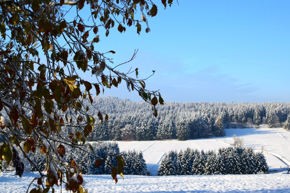 Snow panorama perspective