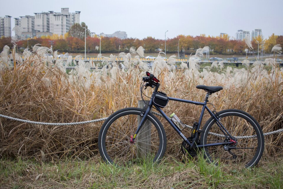 Burgos black molly bike smile bike