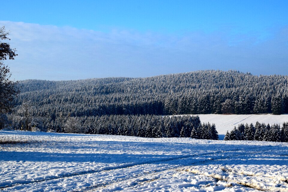 Hohegeiß forest skiwiese