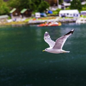 Sea travel air