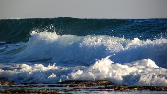 Beach nature white