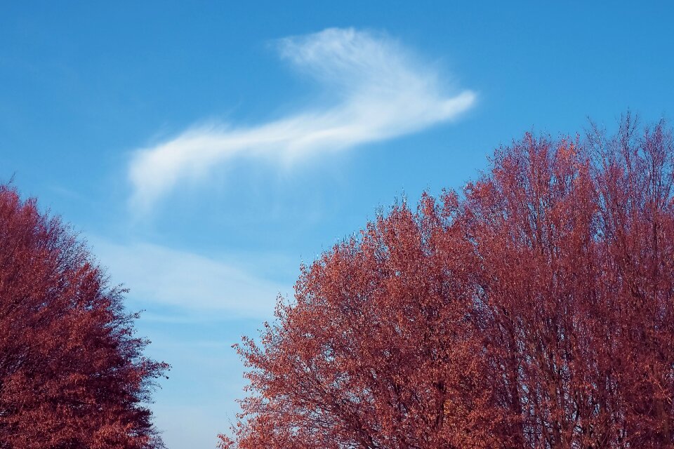 Landscape autumn mood
