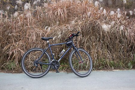 Burgos smile bike bike photo