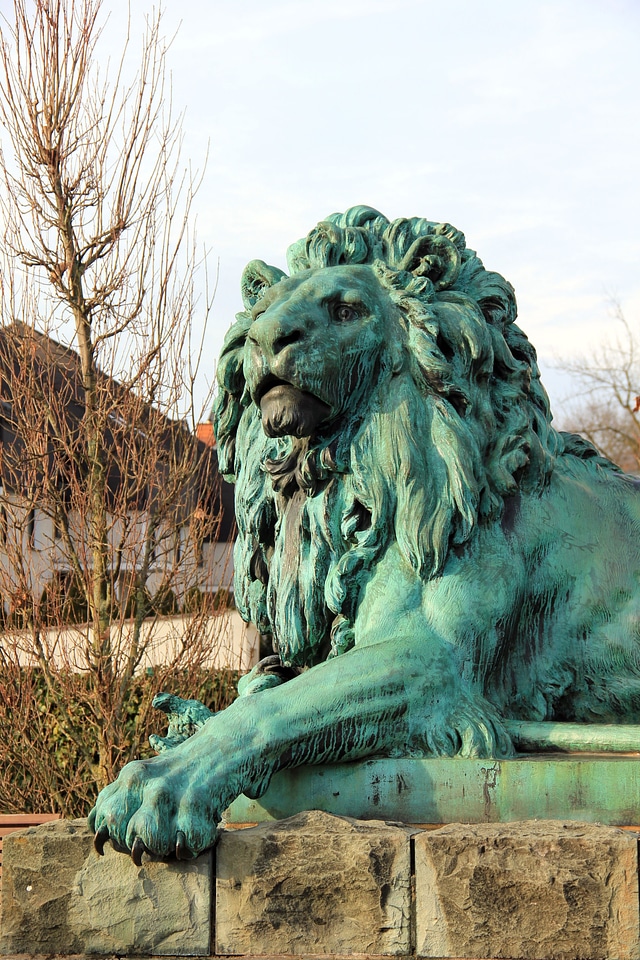 Animal lion paw