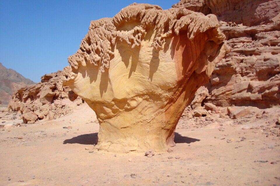 White desert south sinai mushroom from stone
