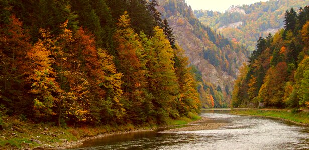 Autumn nature beauty