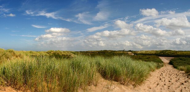 Vacations dune grass landscape photo