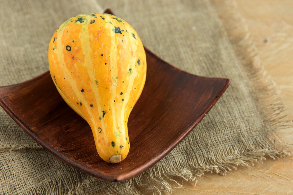 Ornament decorative pumpkin eating