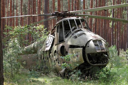 Crash military forest