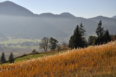 Mountains trees field photo