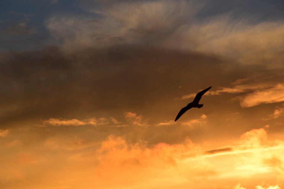 Nature beauty sunset