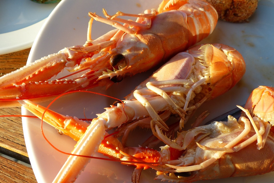 Crustaceans fishing kattegat