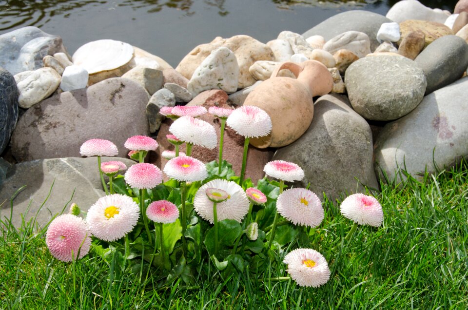 Decor stone germany