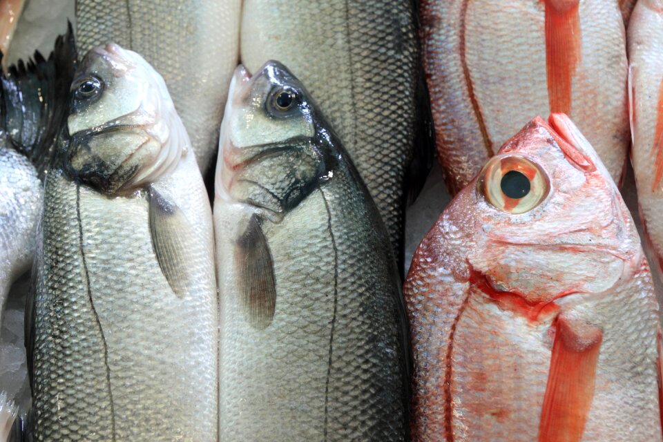 Market seafood fresh