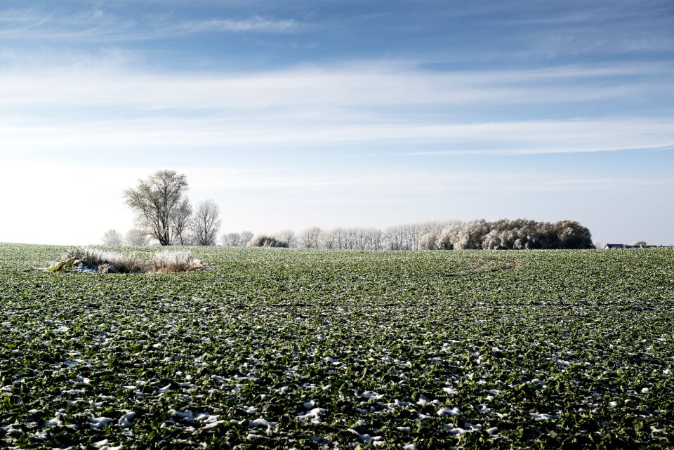 Agriculture cold ice