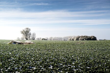 Agriculture cold ice