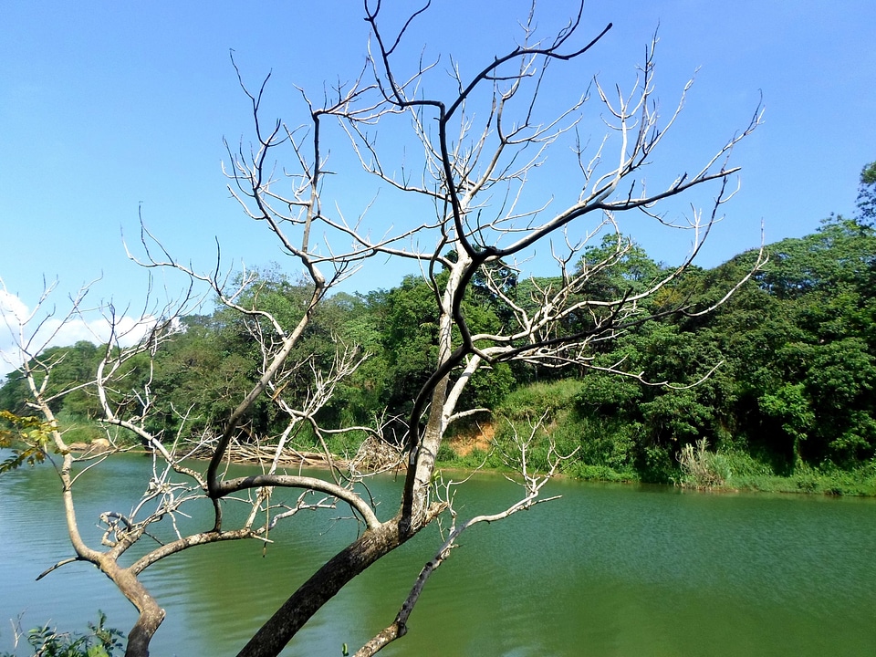 Sri lanka landscape wilderness